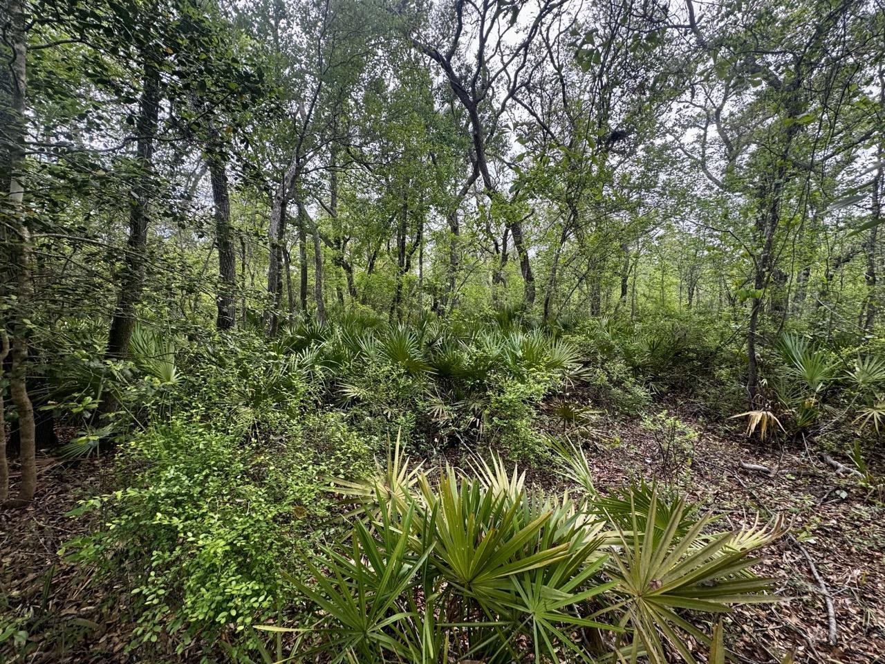 3084 NE Chervil Drive