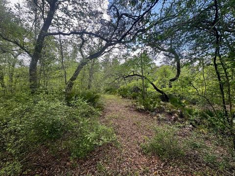 3084 NE Chervil Drive Lee FL 32059