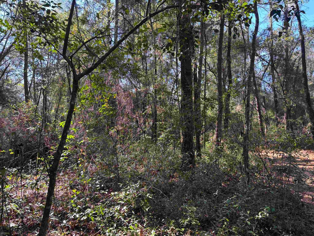 Photo of James Duhard Way, Tallahassee, FL 32308 (MLS # 394555)