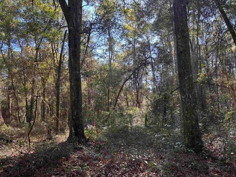 Photo of James Duhard Way, Tallahassee, FL 32308 (MLS # 394555)