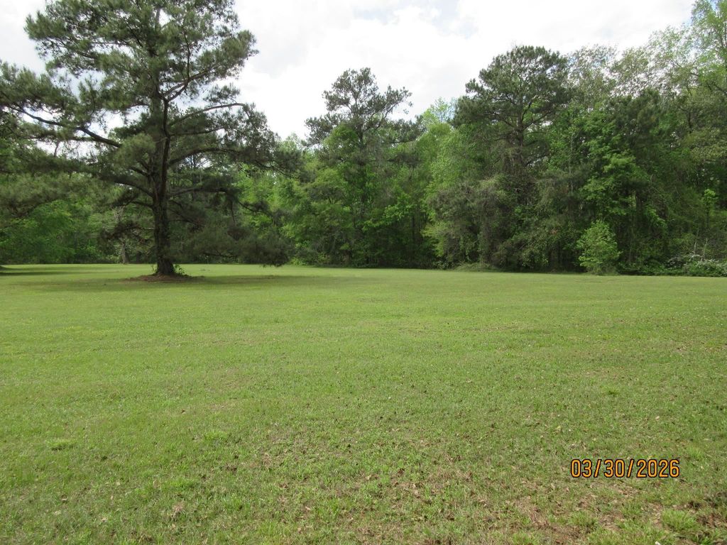 Photo of 1882 Baum Road, Tallahassee, FL 32317 (MLS # 398010)