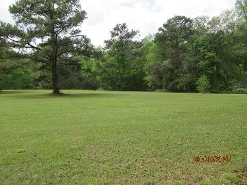 Photo of 1882 Baum Road, Tallahassee, FL 32317 (MLS # 398010)