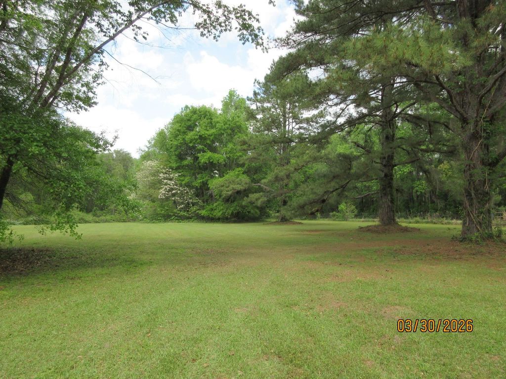 Photo of 1882 Baum Road, Tallahassee, FL 32317 (MLS # 398010)