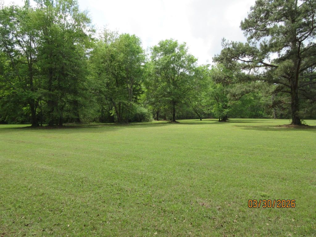 Photo of 1882 Baum Road, Tallahassee, FL 32317 (MLS # 398010)