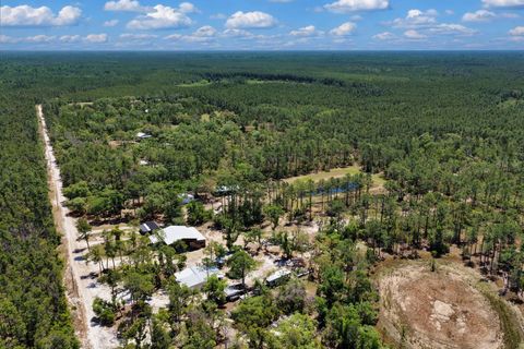 Tiny photo for 2151 Politic Road, Perry, FL 32348 (MLS # 399507)