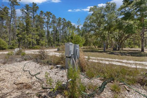Tiny photo for 2151 Politic Road, Perry, FL 32348 (MLS # 399507)