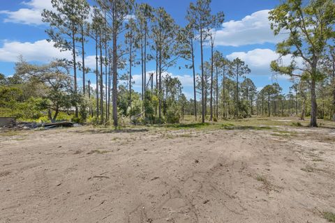 Tiny photo for 2151 Politic Road, Perry, FL 32348 (MLS # 399507)