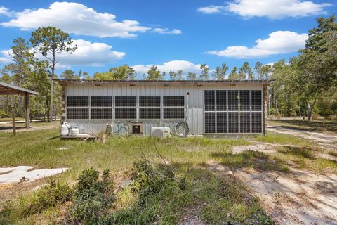 Tiny photo for 2151 Politic Road, Perry, FL 32348 (MLS # 399507)