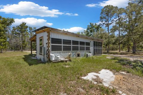 Tiny photo for 2151 Politic Road, Perry, FL 32348 (MLS # 399507)