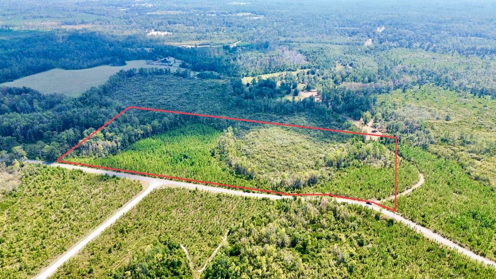 Photo of Lot 3 SW Wonderwood Street, Greenville, FL 32331 (MLS # 391334)