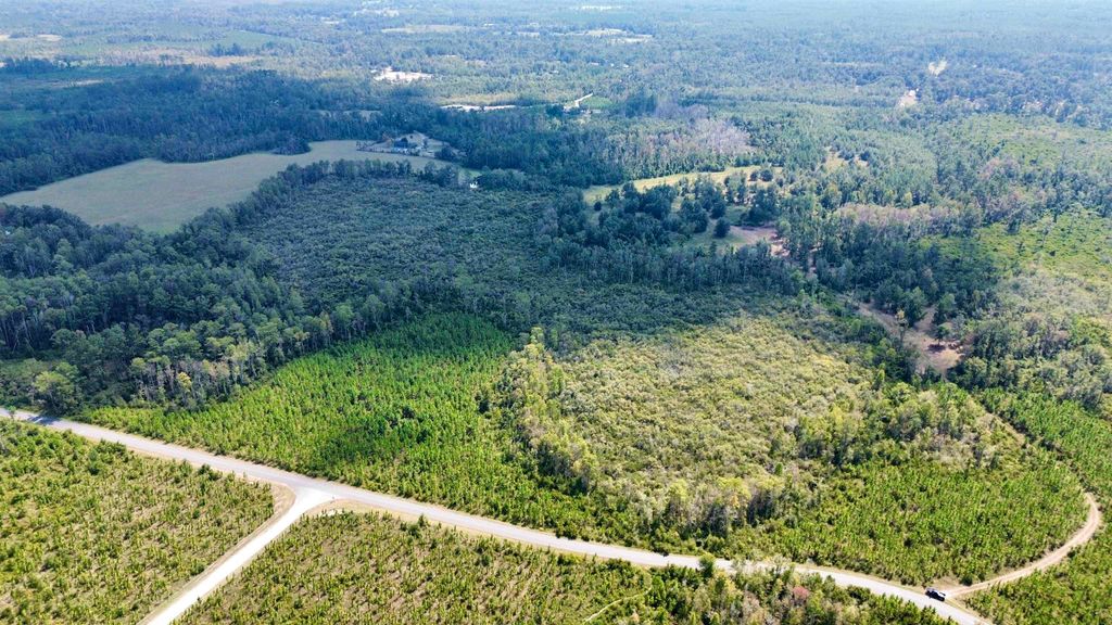 Photo of Lot 3 SW Wonderwood Street, Greenville, FL 32331 (MLS # 391334)