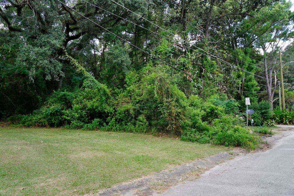 Photo of xxxx Majestic Avenue, Tallahassee, FL 32304 (MLS # 391295)