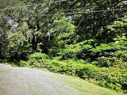 Tiny photo for xxxx Majestic Avenue, Tallahassee, FL 32304 (MLS # 391295)