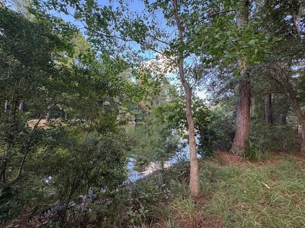 Photo of 0 Waterford Glen Court, Tallahassee, FL 32312 (MLS # 391588)