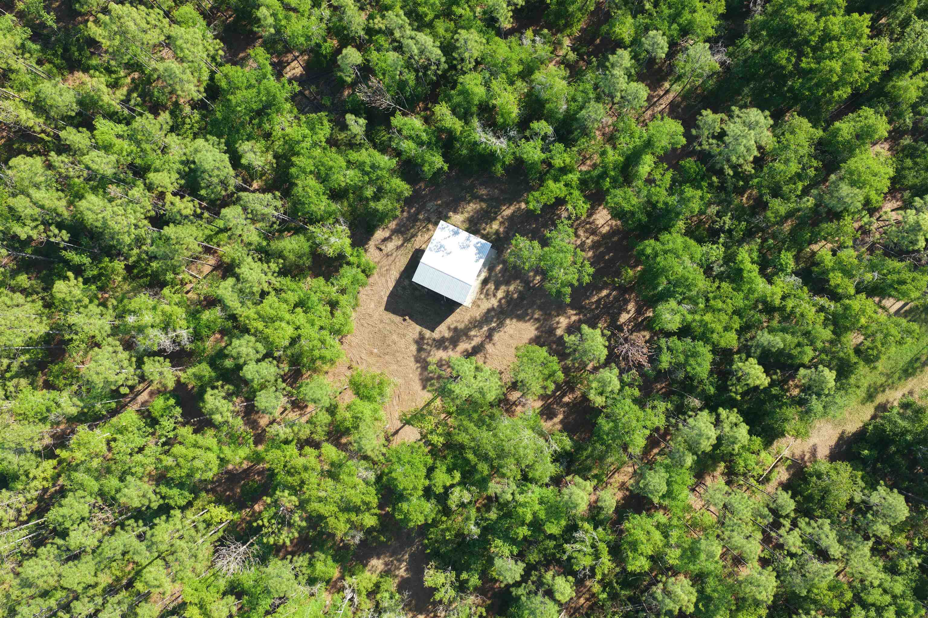 5386 NE Old Blue Springs Road