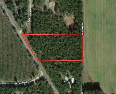 5386 NE Old Blue Springs Road Lee FL 32059