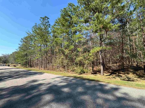 Tiny photo for Lot 25 Starhawk, Tallahassee, FL 32309 (MLS # 388230)