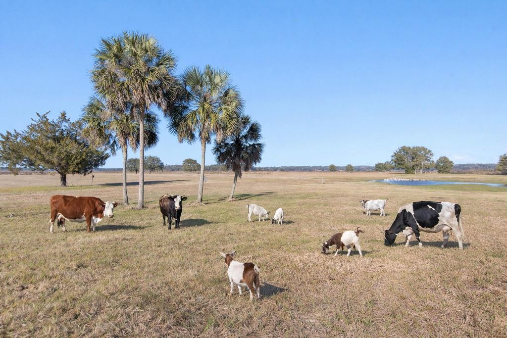 Photo of JACKSON VIEW Drive, Tallahassee, FL 32303 (MLS # 397102)