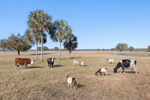 Photo of JACKSON VIEW Drive, Tallahassee, FL 32303 (MLS # 397102)