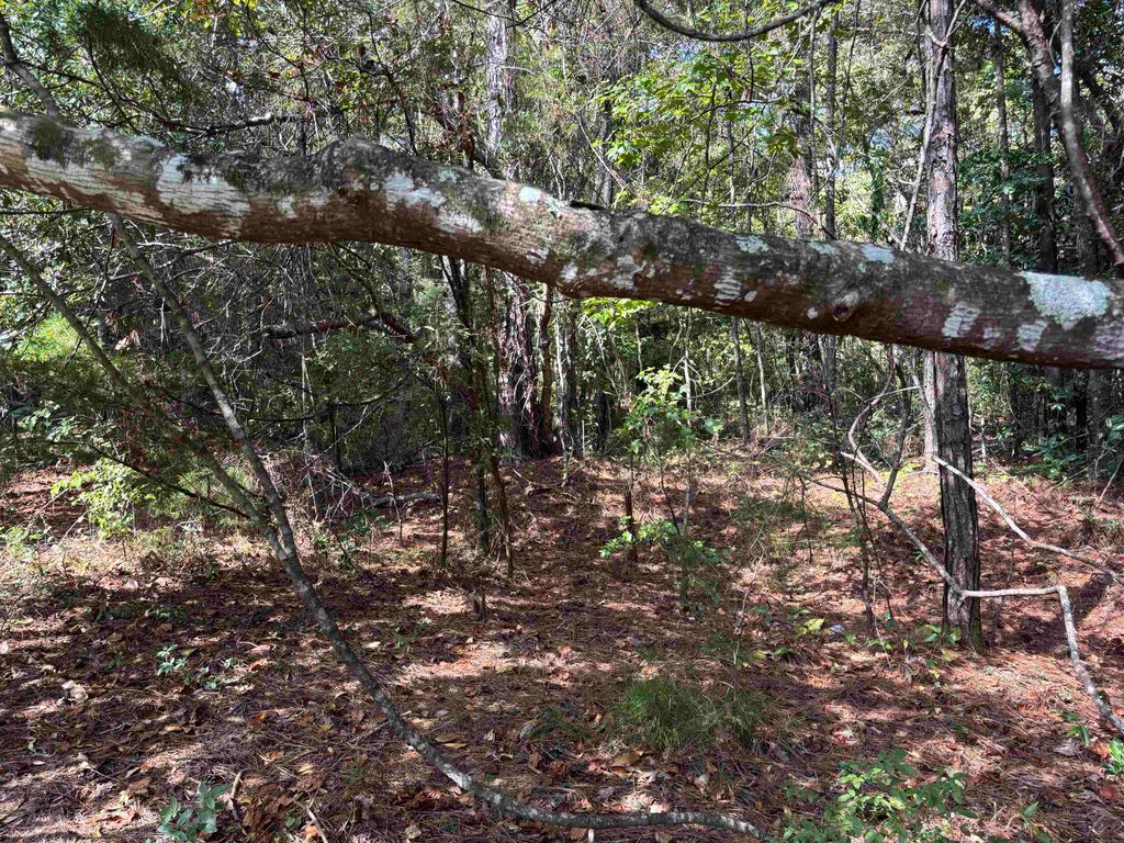 Photo of Sweetwater Lane, Tallahassee, FL 32311 (MLS # 392318)