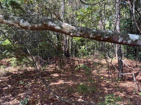 Tiny photo for Sweetwater Lane, Tallahassee, FL 32311 (MLS # 392318)