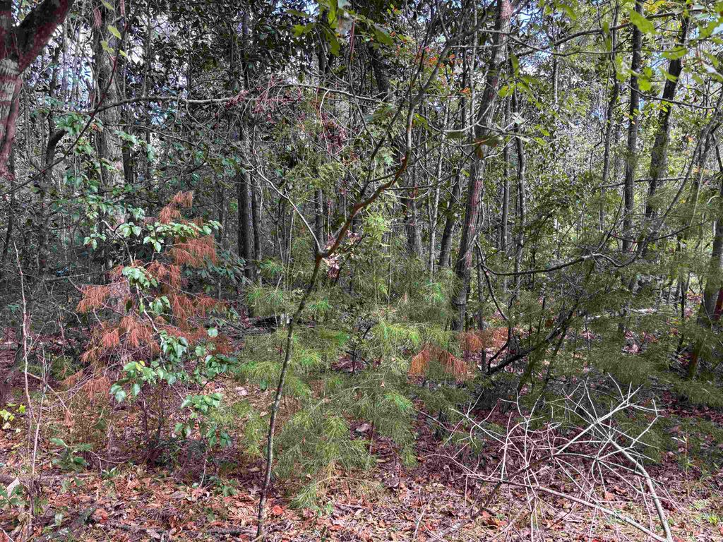 Photo of Sweetwater Lane, Tallahassee, FL 32311 (MLS # 392318)
