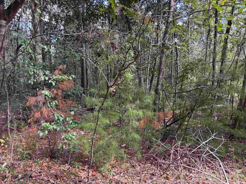 Photo of Sweetwater Lane, Tallahassee, FL 32311 (MLS # 392318)