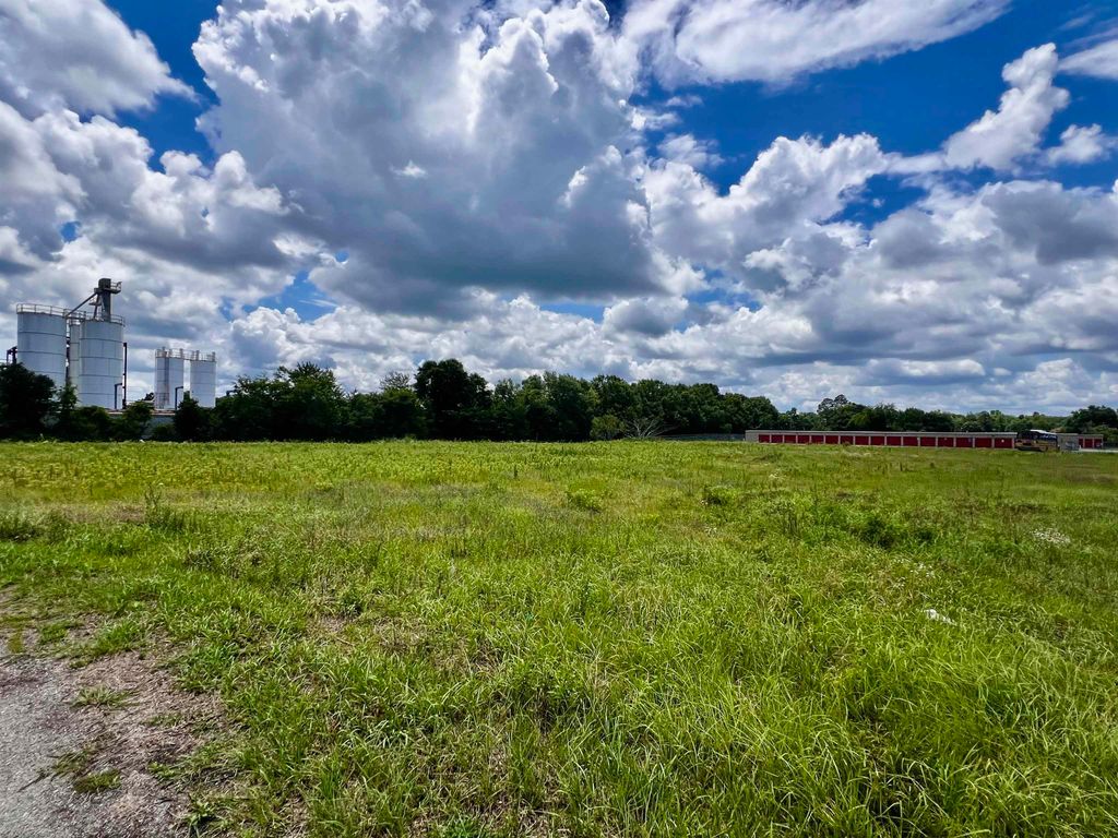 Photo of 521 S Virginia Street, Quincy, FL 32351 (MLS # 390853)
