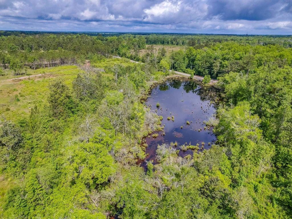 Photo of XX Juniper Creek Road, Quincy, FL 32351 (MLS # 391906)