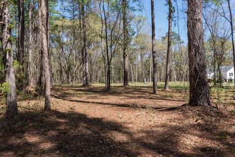 Tiny photo for 0 Star Gate Way, Tallahassee, FL 32308 (MLS # 398177)