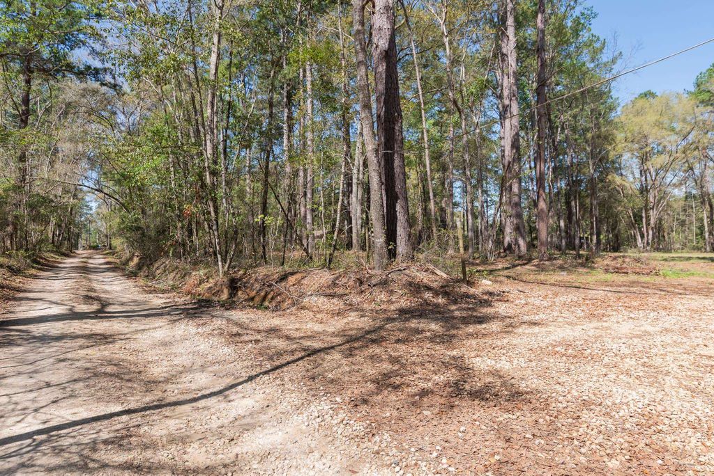 Photo of 0 Star Gate Way, Tallahassee, FL 32308 (MLS # 398177)