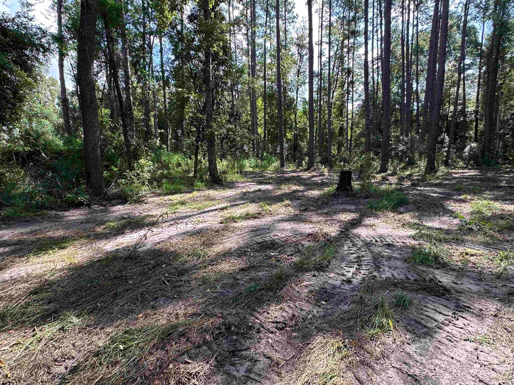Photo of xx Donaldson Williams Road, Crawfordville, FL 32327 (MLS # 390810)