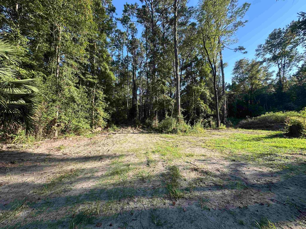 Photo of xx Donaldson Williams Road, Crawfordville, FL 32327 (MLS # 390810)