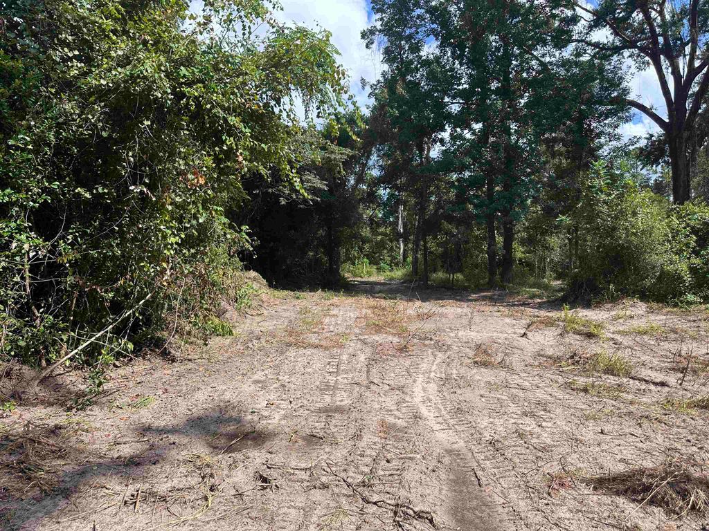 Photo of xx Donaldson Williams Road, Crawfordville, FL 32327 (MLS # 390810)