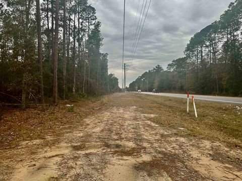 Tiny photo for Blountstown Highway, Leon, FL 32310 (MLS # 368222)