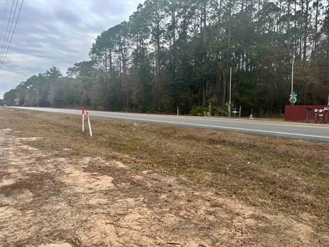 Tiny photo for Blountstown Highway, Leon, FL 32310 (MLS # 368222)