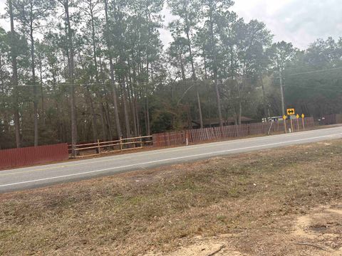 Tiny photo for Blountstown Highway, Leon, FL 32310 (MLS # 368222)