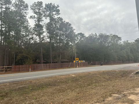 Tiny photo for Blountstown Highway, Leon, FL 32310 (MLS # 368222)