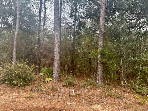 Tiny photo for Blountstown Highway, Leon, FL 32310 (MLS # 368222)