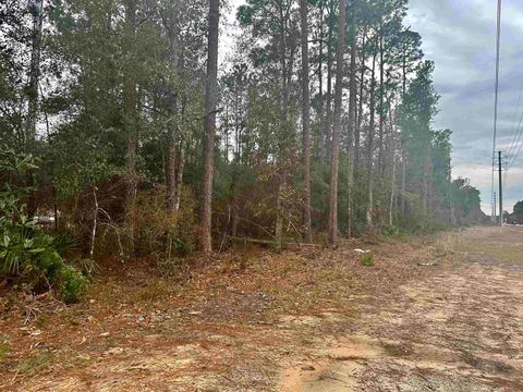 Tiny photo for Blountstown Highway, Leon, FL 32310 (MLS # 368222)