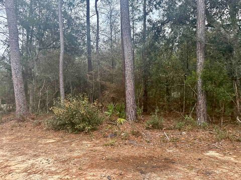 Tiny photo for Blountstown Highway, Leon, FL 32310 (MLS # 368222)