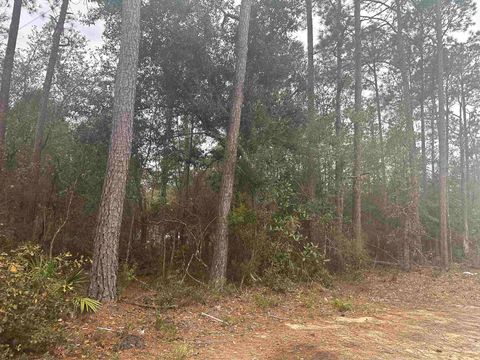 Tiny photo for Blountstown Highway, Leon, FL 32310 (MLS # 368222)
