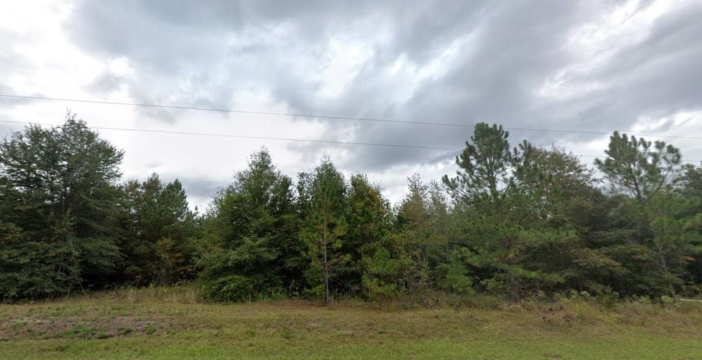 Photo of 000 ROBINSON FARMS Road, Tallahassee, FL 32317 (MLS # 395455)