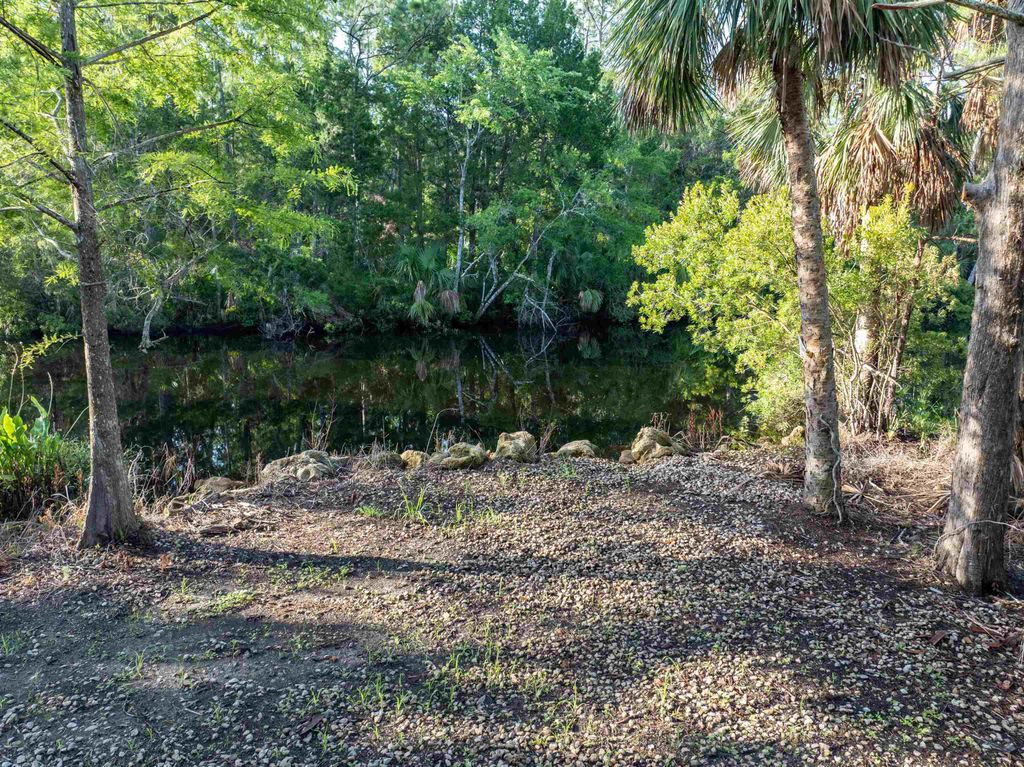 Photo of 4350 Econfina River Road, Lamont, FL 32336 (MLS # 398822)