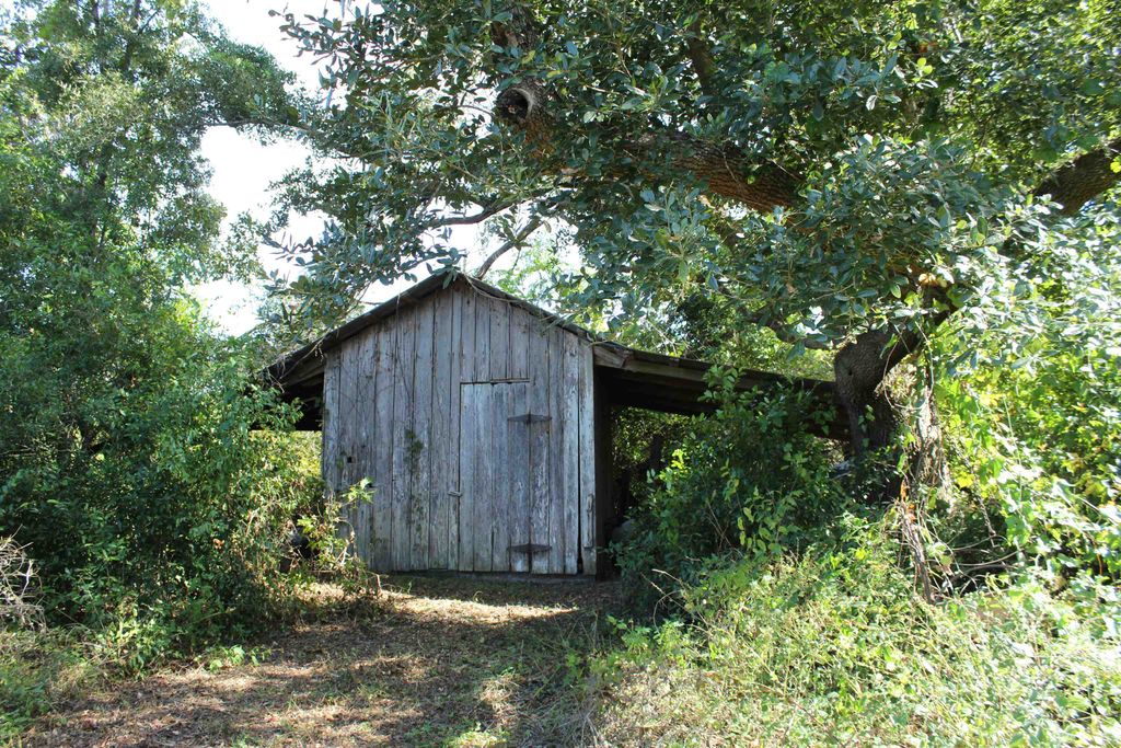 Photo of 6859 SW CR 14, Madison, FL 32340 (MLS # 392527)