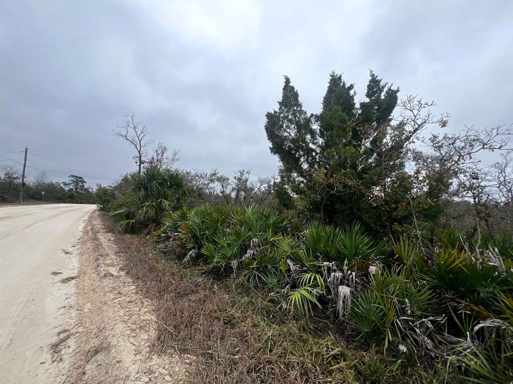 Photo of 15819 Sea Breeze Drive, Perry, FL 32348 (MLS # 394538)