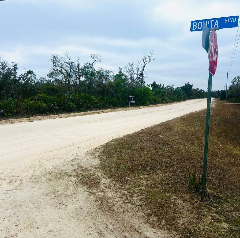 Photo of 15819 Sea Breeze Drive, Perry, FL 32348 (MLS # 394538)