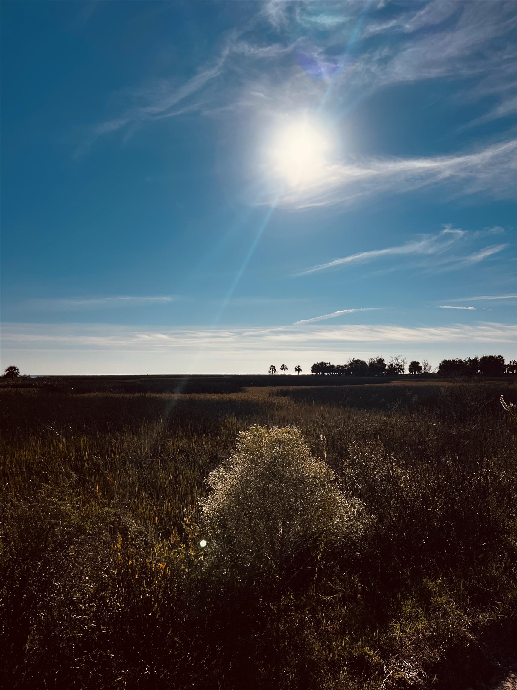 15819 Sea Breeze Drive