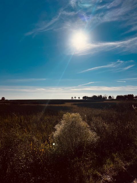 Tiny photo for 15819 Sea Breeze Drive, Perry, FL 32348 (MLS # 394538)