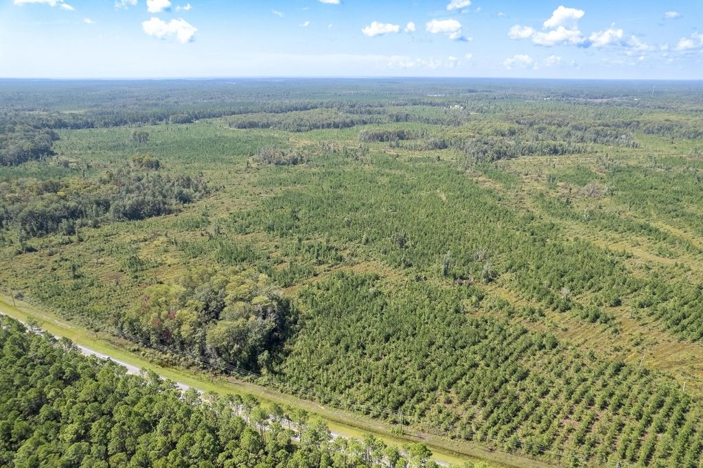 Photo of Lot 6 Rock Crusher Road, Crawfordville, FL 32327 (MLS # 396297)